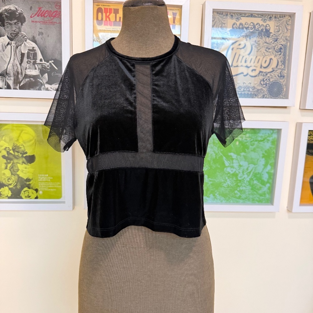 🖤 Y2K Sheer Mesh & Velvet Crop Top 🖤